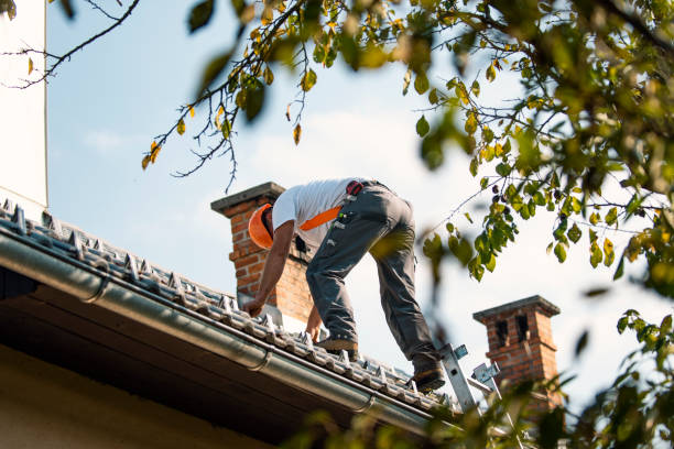 Best Storm Damage Roof Repair  in Reading, OH